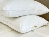 Lot de 2 Oreillers Luneo