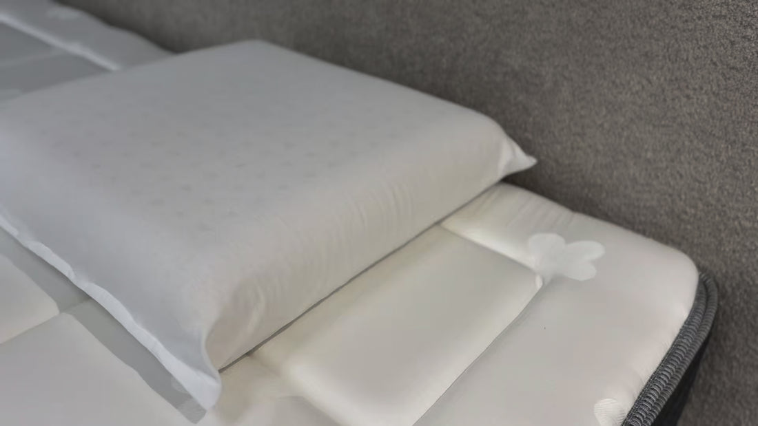 Oreiller Latex Naturel - Ferme